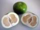 Herbal Remedies For Appendicitis